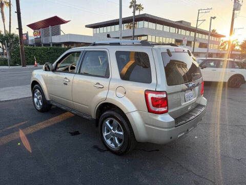2010 Ford Escape Limited