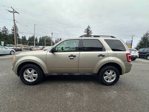 2010 Ford Escape XLT