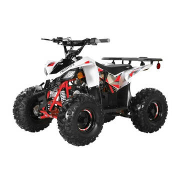 2025 Coolster 110cc 3050B2
