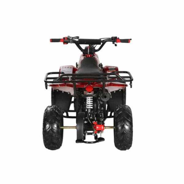 2025 Coolster 110cc 3050c