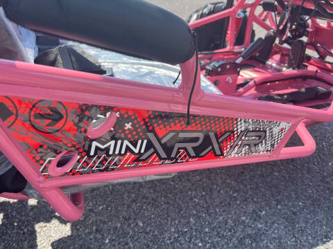 2025 TrailMaster Mini XRX R+