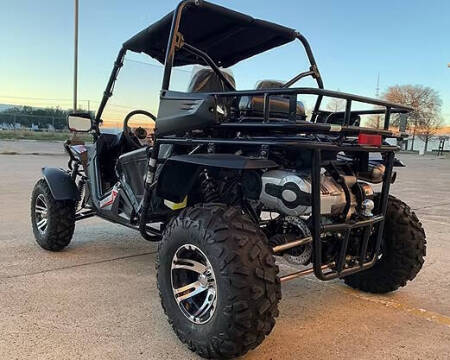 2026 TrailMaster Cheetah 300EX (EFI)