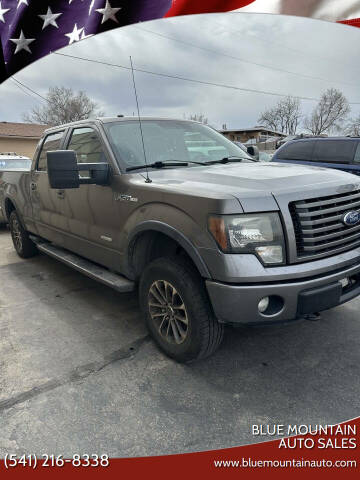 2011 Ford F-150 for sale at Blue Mountain Auto Sales in Ontario OR