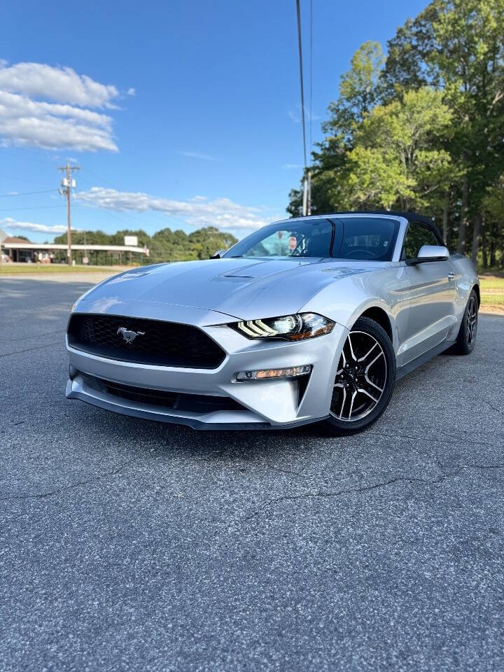 2019 Ford Mustang EcoBoost's photo