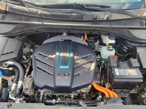 2019 Kia Niro EV EX