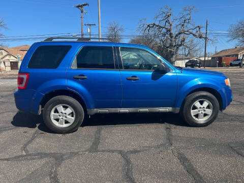 2011 Ford Escape XLT