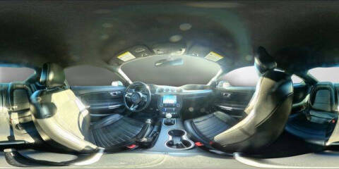 2019 Ford Mustang BULLITT