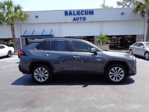 2019 Toyota RAV4 for sale at BALKCUM AUTO INC in Wilmington NC