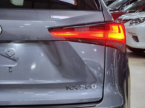 2021 Lexus NX 300 F SPORT