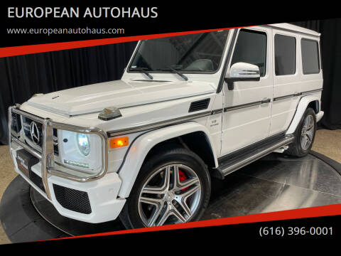 2014 Mercedes-Benz G-Class for sale at EUROPEAN AUTOHAUS in Holland MI