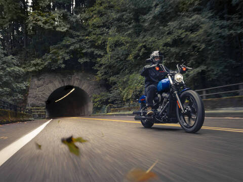 2024 Harley-Davidson Street Bob 114