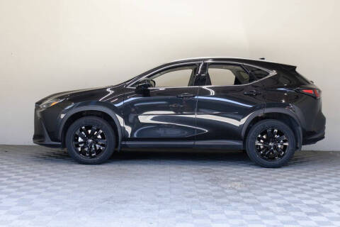2023 Lexus NX 250
