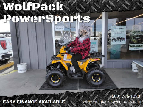 2025 Denago MUDHAWK 10FI ATV for sale at WolfPack PowerSports in Moses Lake WA