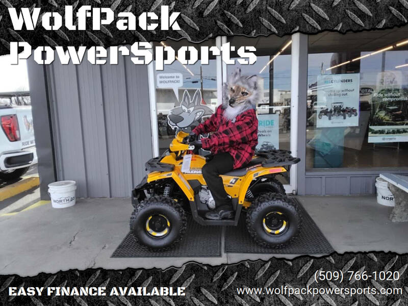 2025 Denago MUDHAWK 10FI ATV