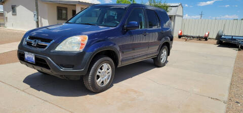 2003 Honda CR-V for sale at Barrera Auto Sales in Deming NM