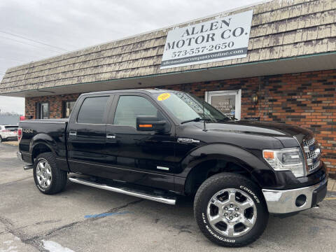 2014 Ford F-150 for sale at Allen Motor Company in Eldon MO