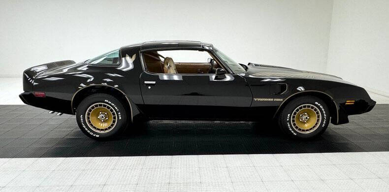 1981 Pontiac Firebird Trans Am