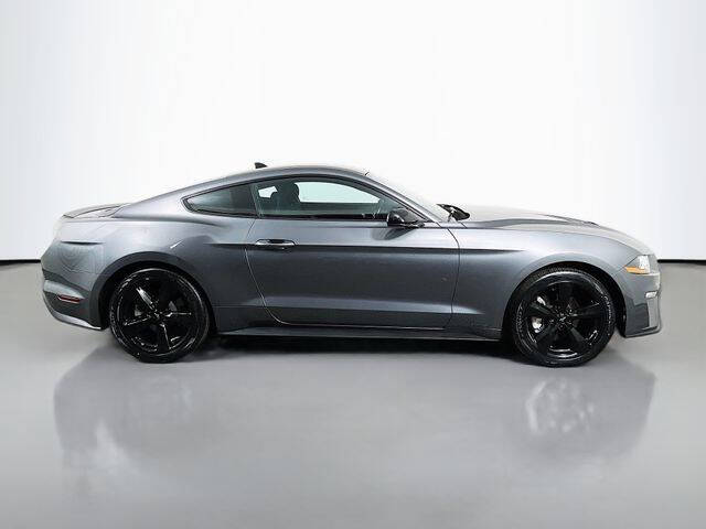 2023 Ford Mustang EcoBoost