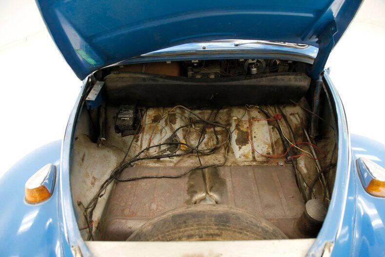 1965 Volkswagen Beetle