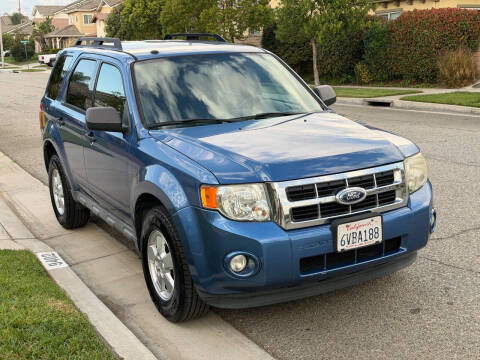 2010 Ford Escape XLT