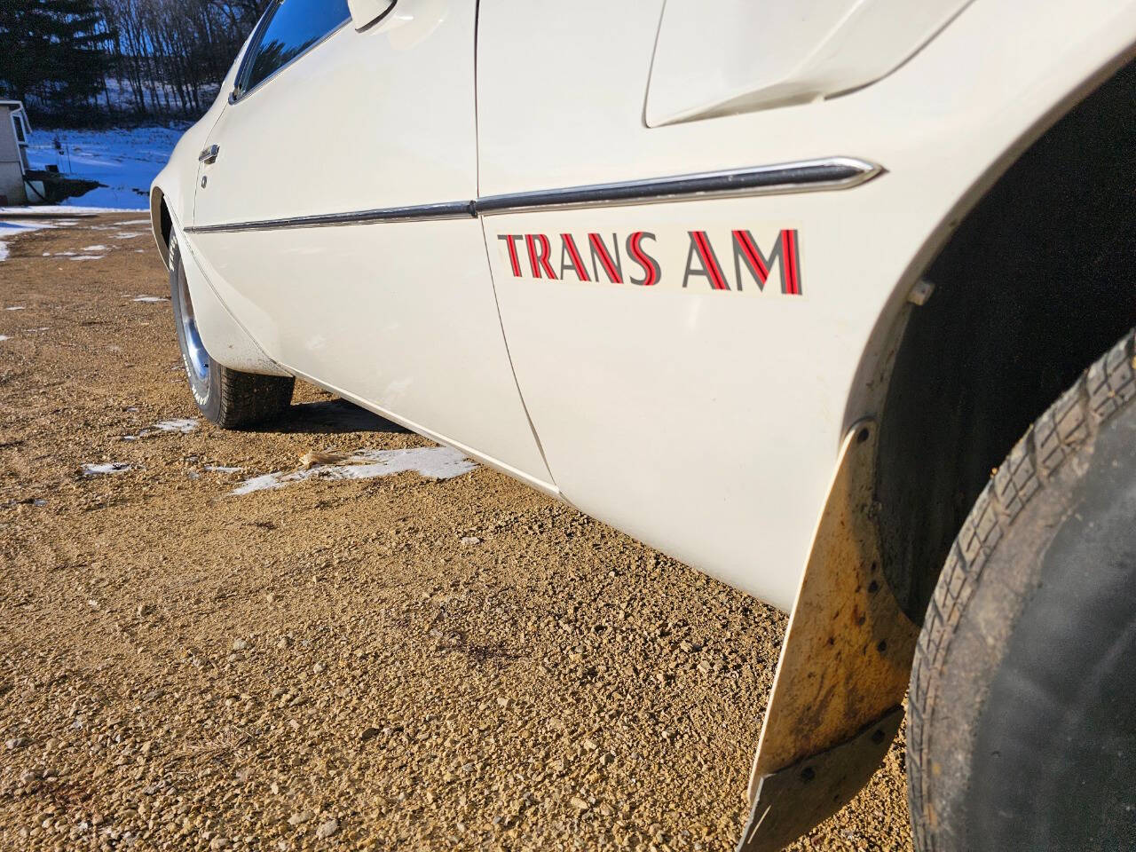 1976 Pontiac Trans Am 91