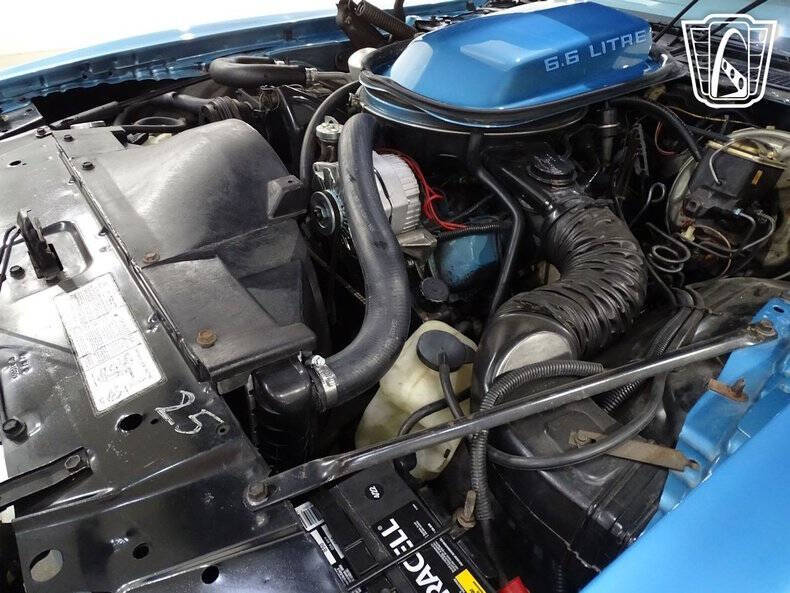 1979 Pontiac Firebird