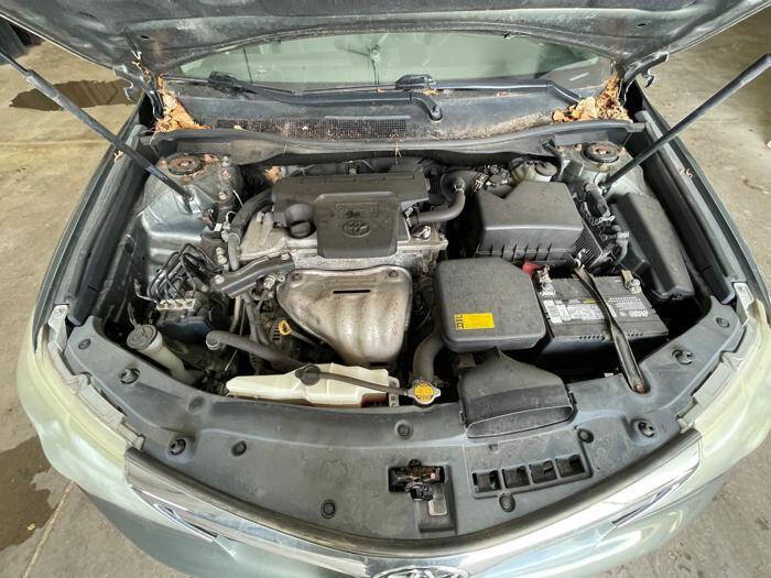 2013 Toyota Camry LE