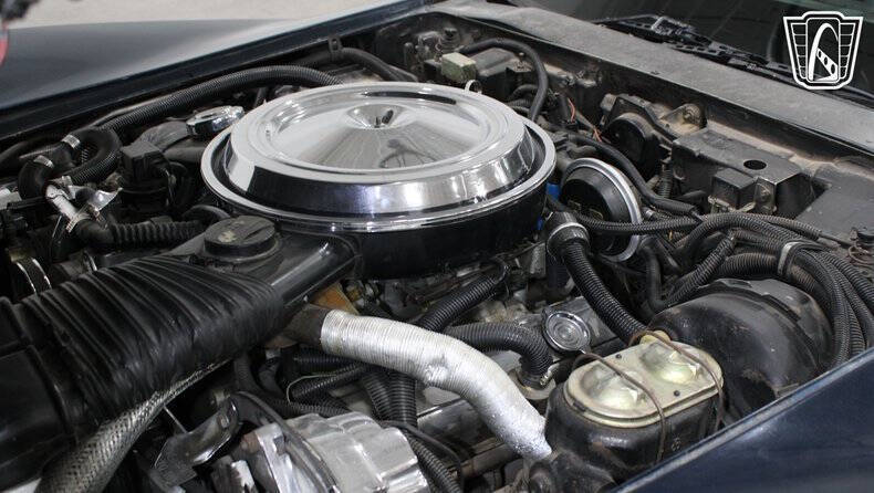 1981 Chevrolet Corvette