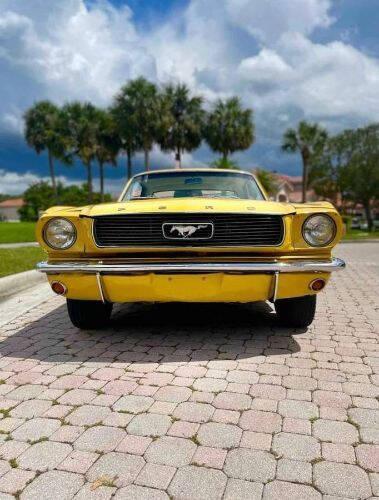 1966 Ford Mustang