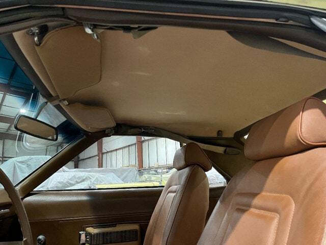 1969 AMC AMX 31