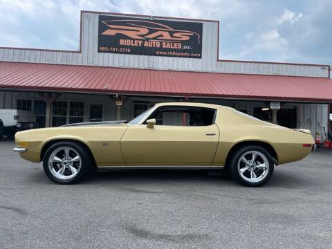 1973 Chevrolet Camaro for sale at Ridley Auto Sales, Inc. in White Pine TN
