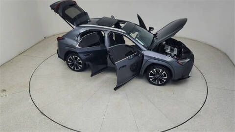 2024 Lexus UX 250h Premium