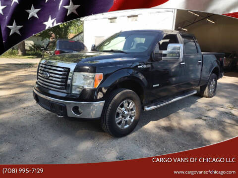 2011 Ford F-150 for sale at Cargo Vans of Chicago LLC in Bradley IL
