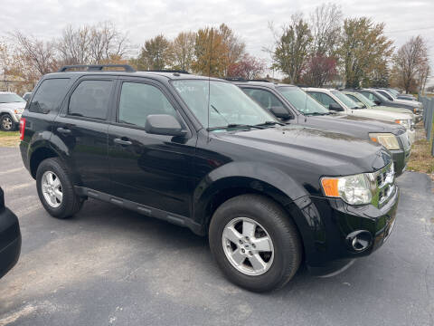 2009 Ford Escape for sale at HEDGES USED CARS in Carleton MI