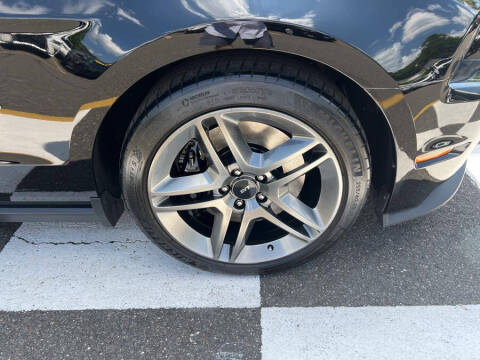 2010 Ford Shelby GT500