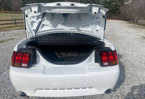 1999 Ford Mustang SVT Cobra