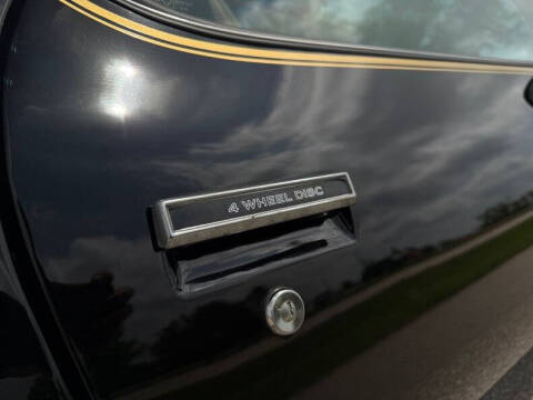 1981 Pontiac Firebird Trans Am