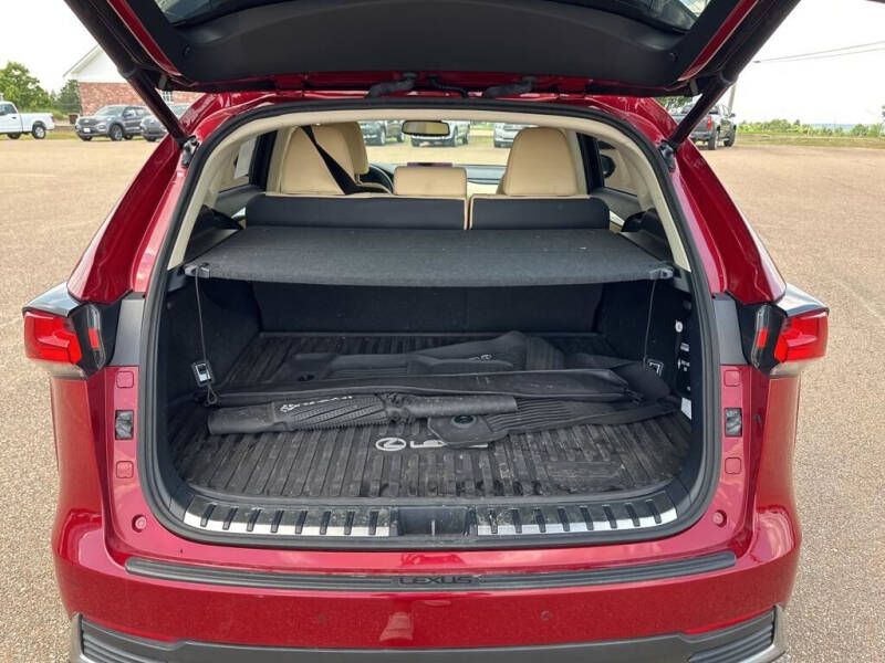 2019 Lexus NX 300h