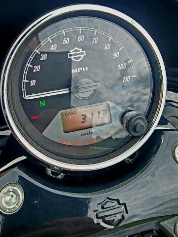 2015 Harley-Davidson Street 750