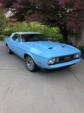 1973 Ford Mustang for sale at Haggle Me Classics in Hobart IN