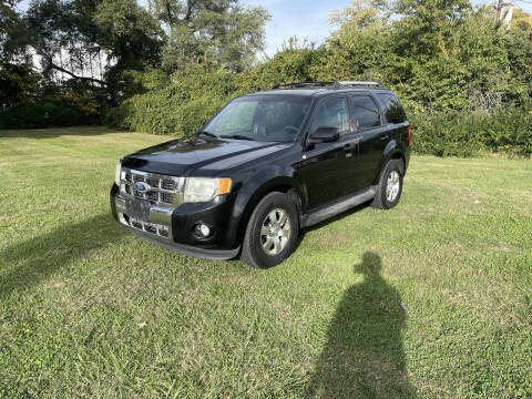 2011 Ford Escape Limited