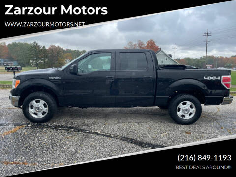 2013 Ford F-150 for sale at Zarzour Motors in Chesterland OH
