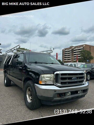 2002 Ford F-250 Super Duty for sale at BIG MIKE AUTO SALES LLC in Lincoln Park MI