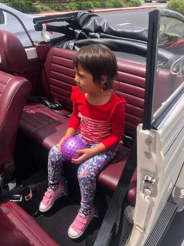 1977 Volkswagen Super Beetle