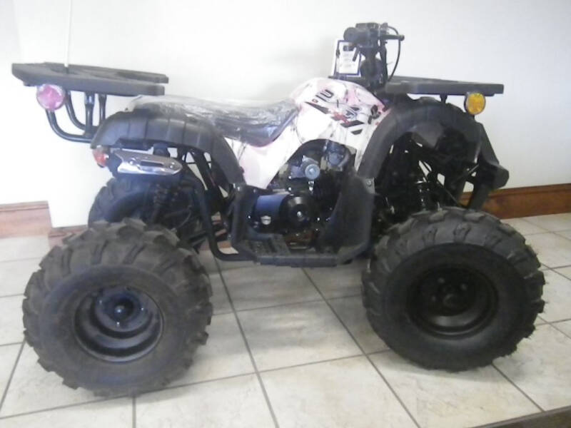 1900 RIDER 110CC for sale at VICTORY AUTO in Lewistown PA