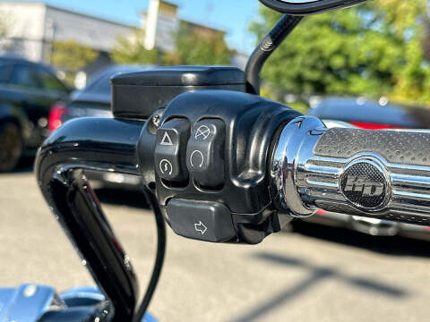 2021 Harley-Davidson Softail