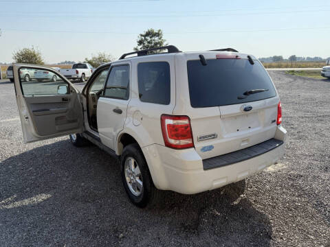 2012 Ford Escape XLT