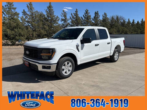 2025 Ford F-150 for sale at Whiteface Ford in Hereford TX