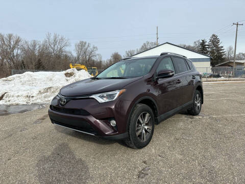 2017 Toyota RAV4 for sale at ONG Auto in Farmington MN