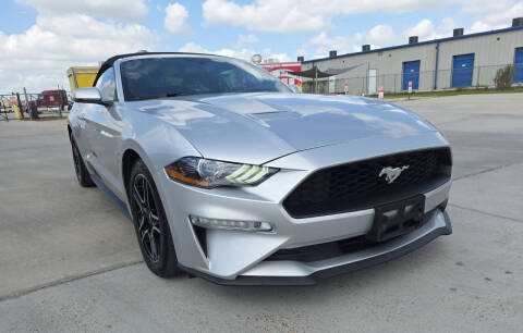2019 Ford Mustang